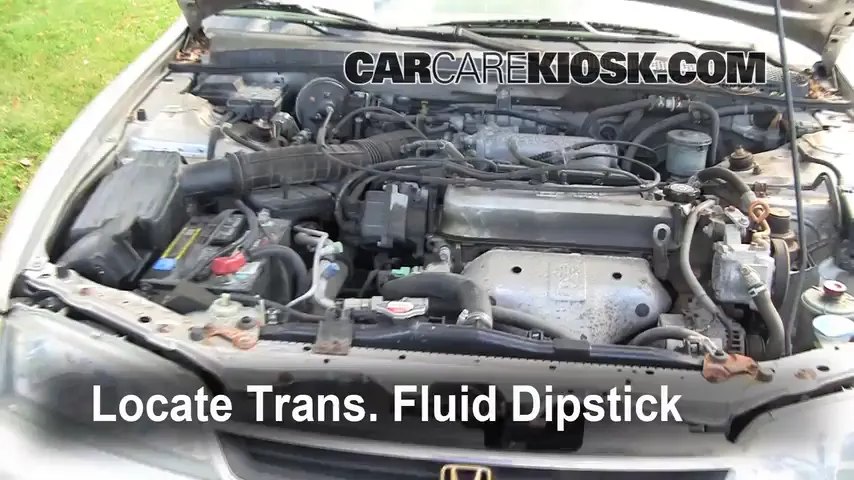 1997 Honda Accord LX 2.2L 4 Cyl. Sedan (4 Door) Transmission Fluid Check Fluid Level